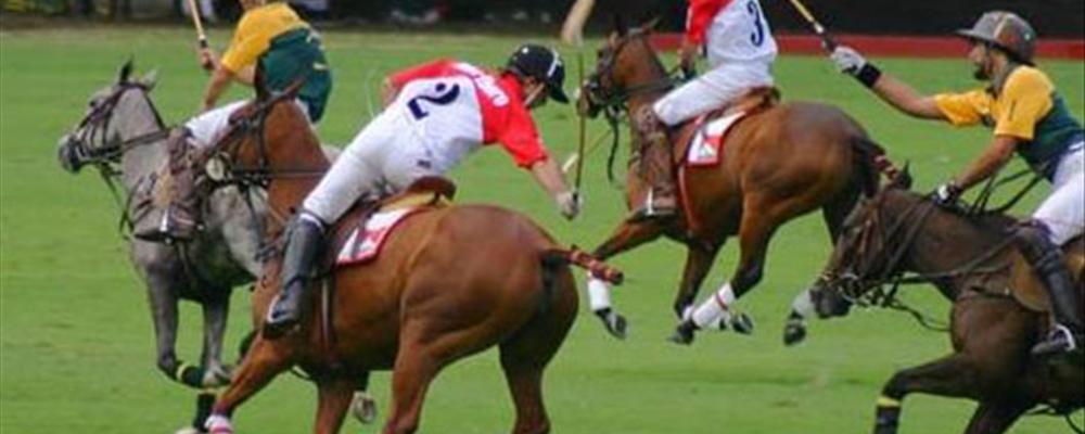argentina open polo finals